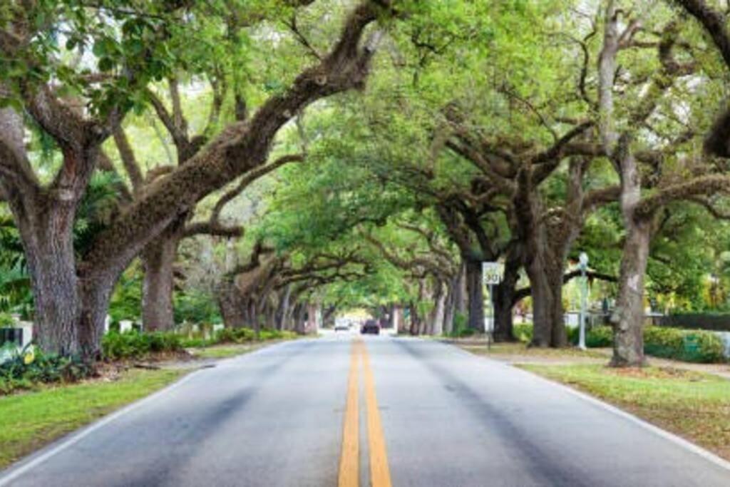 My Lovely Home In Miami 15 Minutes From The Beach Exterior foto